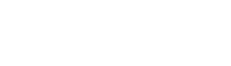 Audits